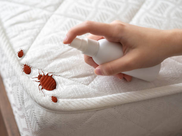 Best Pest Removal Services  in Packanack Lake, NJ