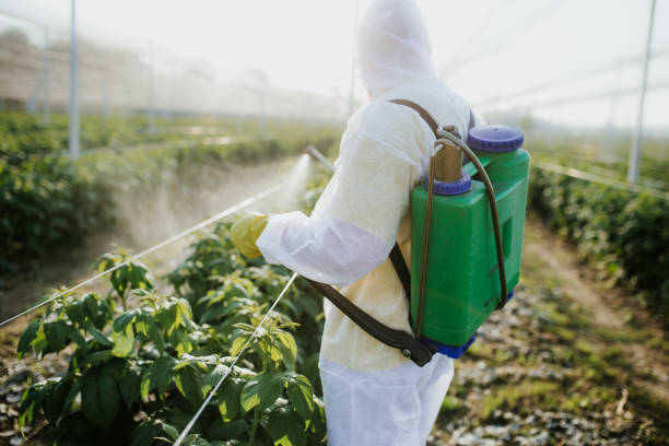Best Ant Control Services  in Packanack Lake, NJ